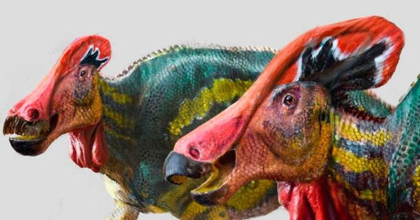 Tlatolophus Galorum La Nueva Especie De Dinosaurio Descubierta Por