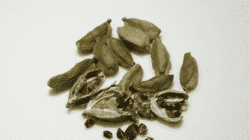 Condimento, cardamomo, especia