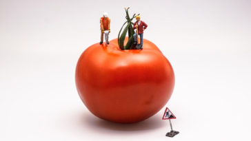 Propiedades del tomate