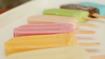 paletas heladas