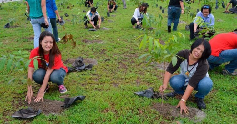 Aprueban una ley que obliga a plantar un árbol como requisito para graduarse en la universidad