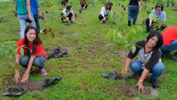 Aprueban una ley que obliga a plantar un árbol como requisito para graduarse en la universidad