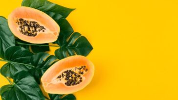 árbol de papaya en una maceta produzca frutos