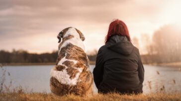 Cosas de la vida que aprendes con los perros