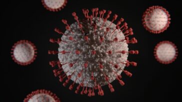 Descubren un medicamento para eliminar el coronavirus y comienzan a probarlo en humanos