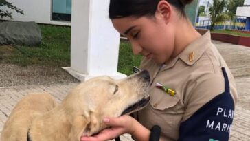 Marina mexicana adopta a un perro