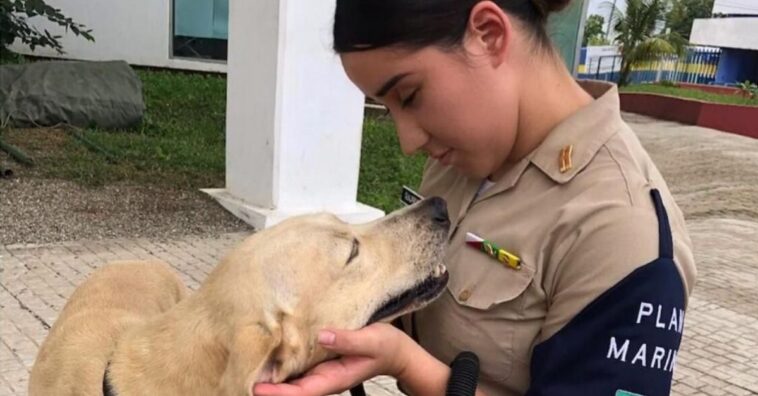 Marina mexicana adopta a un perro