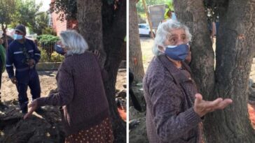 señora se aferra a un árbol en peligro de extinción