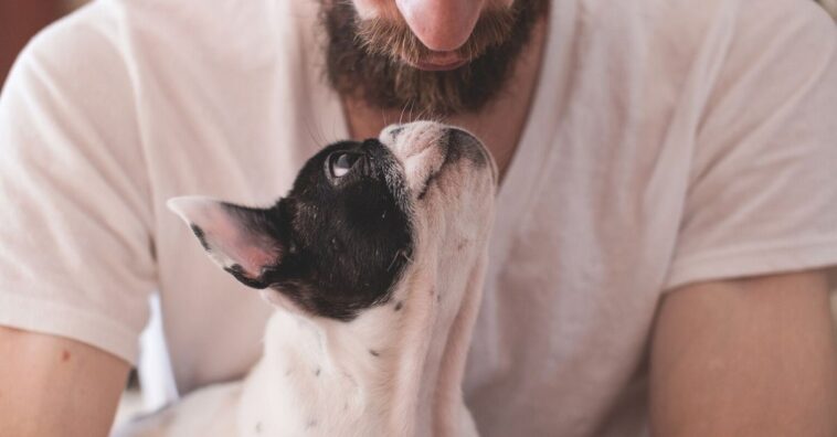 Si eres de las personas que hablas con tu perro, no estás loco