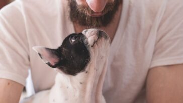 Si eres de las personas que hablas con tu perro, no estás loco