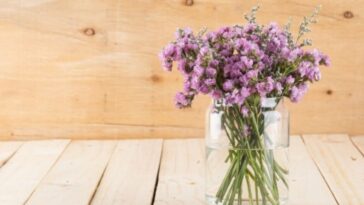 Trucos para cuidar una planta de lavanda y que florezca