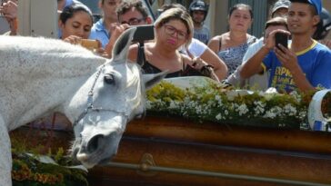 caballo se despide de su dueño