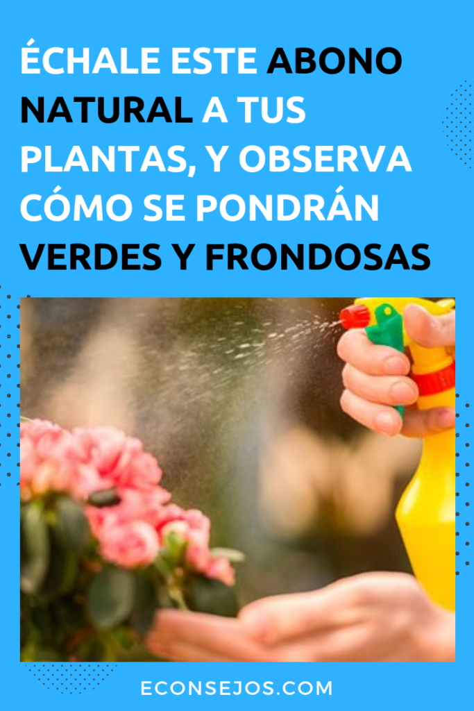 Cómo Hacer Fertilizante Casero