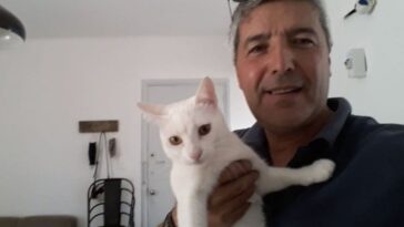 acude a un domicilio a arreglar un cable y se saca fotos con el gato