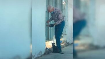 anciano va a diario a una casa abandonado para darle de comer y de beber a un gato