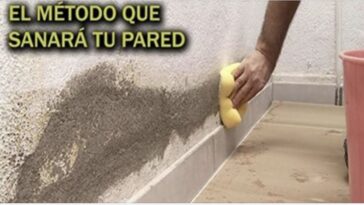 arreglar una pared que tiene humedad sin gastar mucho