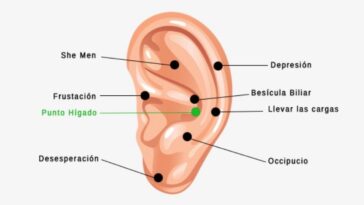 auriculoterapia