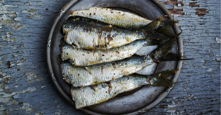 beneficios de las sardinas