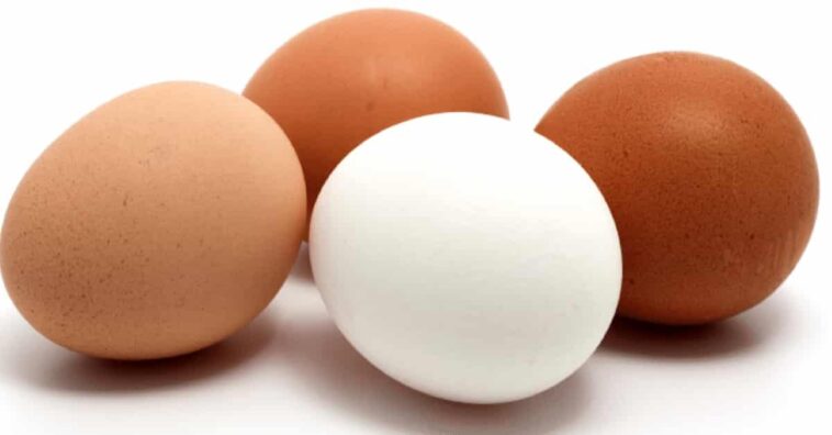 cáscara de huevo como fuente de calcio