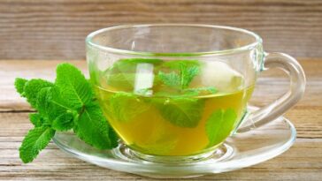 té de menta para perder peso