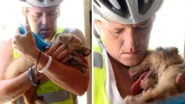 ciclista salva a un perrito que encontró abandonado en el desierto