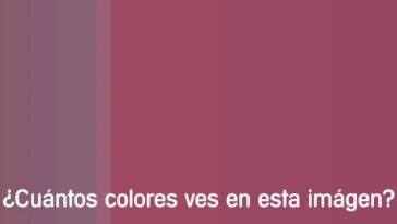 colores consigues distinguir