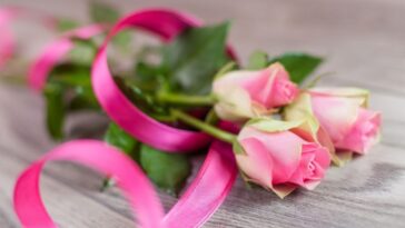 plantar una rosa que venía en un ramo