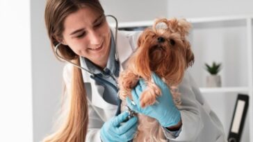 cuidar la salud mental de las mascotas