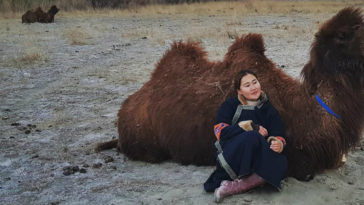 de camello de Mongolia hasta Londres