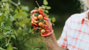 Antiguos consejos de jardinería