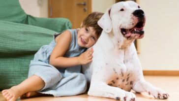 diferencia entre la raza de perro grande y la de un gigante