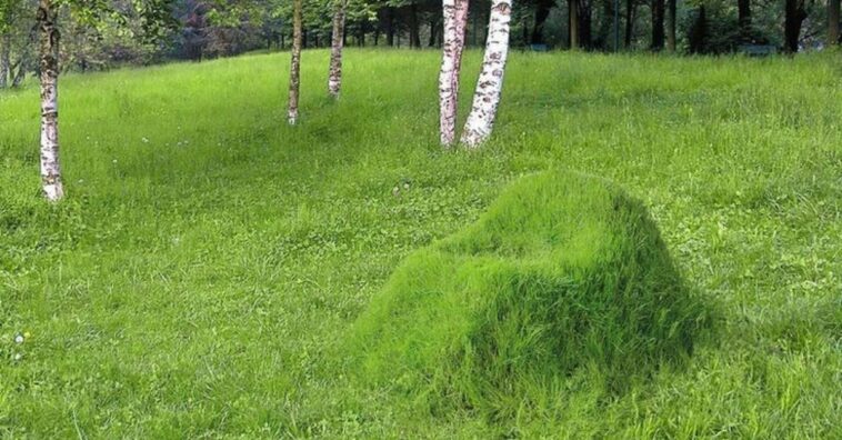 el sillón verde de diseño sostenible