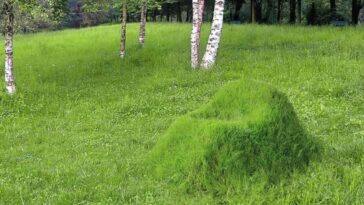 el sillón verde de diseño sostenible