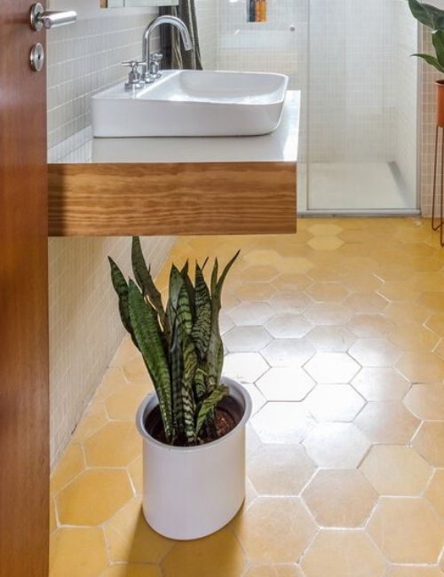 Plantas para el baño