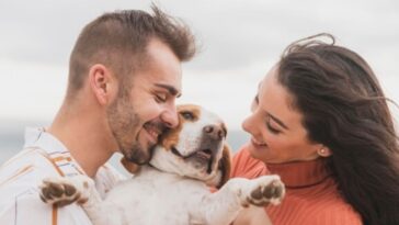 fallecimiento de un perro es tan doloroso como el de un ser querido