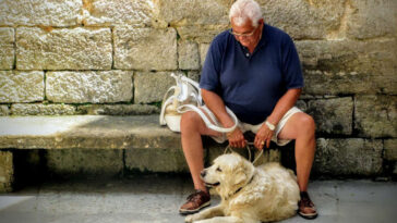 ancianos que pasean con perros tienen más fracturas