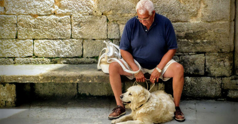 ancianos que pasean con perros tienen más fracturas