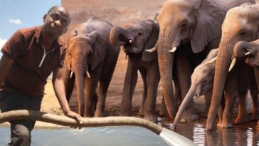 granjero recorre cientos de kilómetros para llevarle agua a miles de animales sedientos