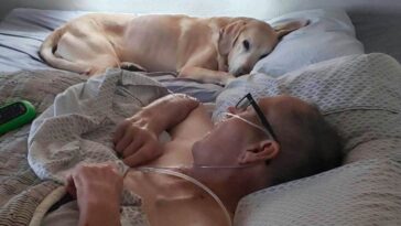 hombre con cáncer muere con una hora de diferencia con su perro