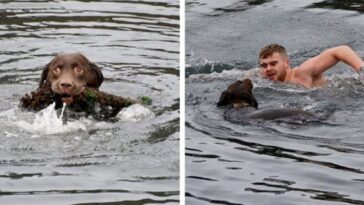 hombre se zambulle en el agua helada y rescata a un perro