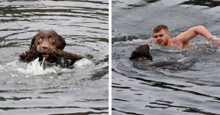 hombre se zambulle en el agua helada y rescata a un perro