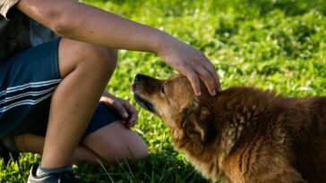 hombre en coma se despierta con el ladrido de su perro