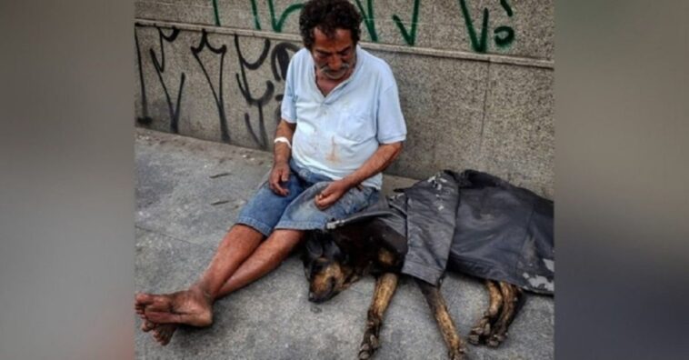 indigente le da su único abrigo a su perro