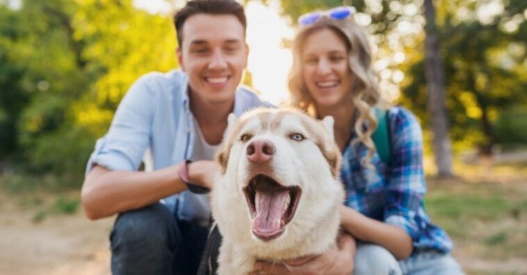 jóvenes colombianos prefieren una mascota a un hijo