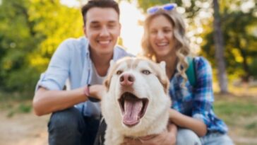 jóvenes colombianos prefieren una mascota a un hijo