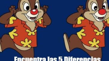 localizar las 5 diferencias de la ardilla