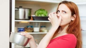 mantener la comida cocinada en el frigorífico