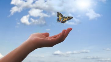 mariposas son mensajeros espirituales