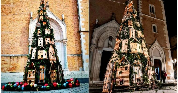 montan un árbol de Navidad con casas para gatitos callejeros