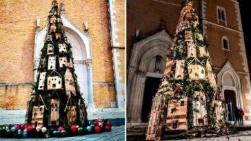 montan un árbol de Navidad con casas para gatitos callejeros